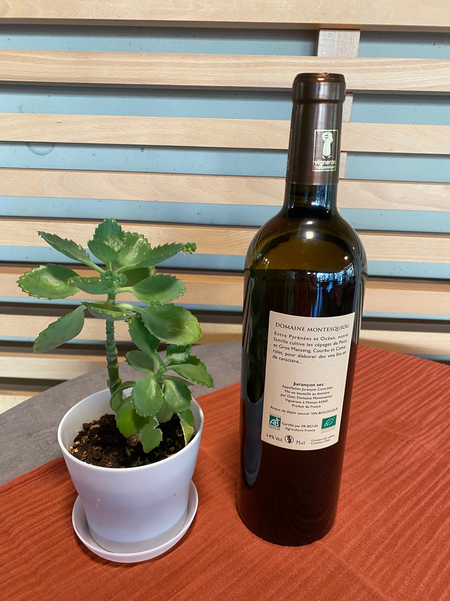 Jurançon sec - Cuvade Préciouse