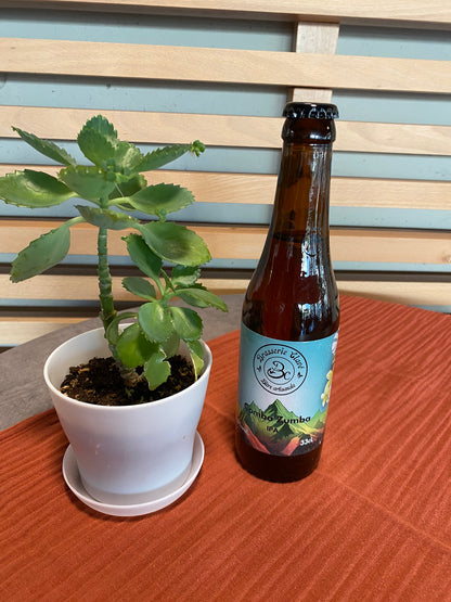 Les bières du brasseur